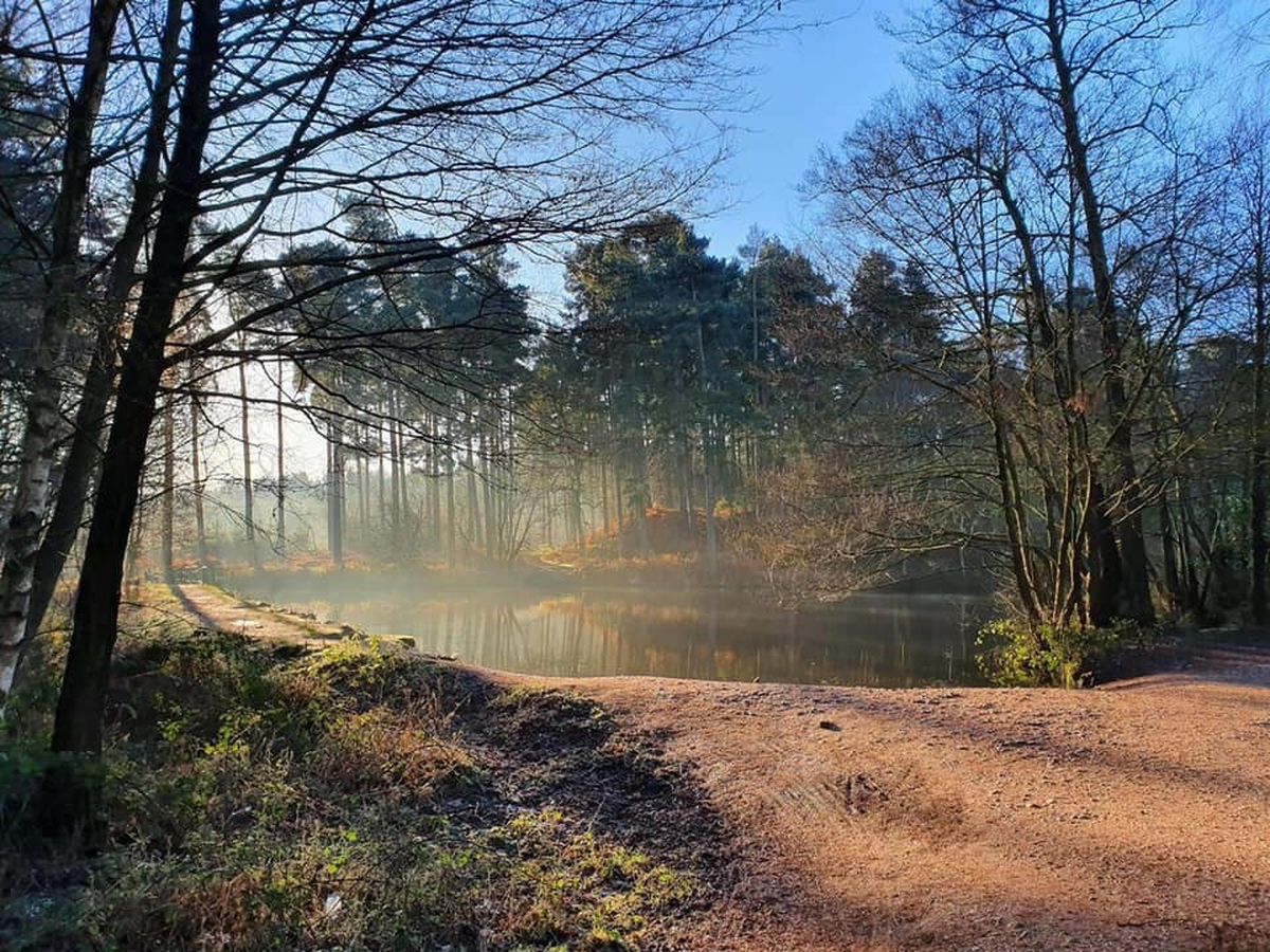 Cannock Chase Staffordshire - home of a NetwalkIN event